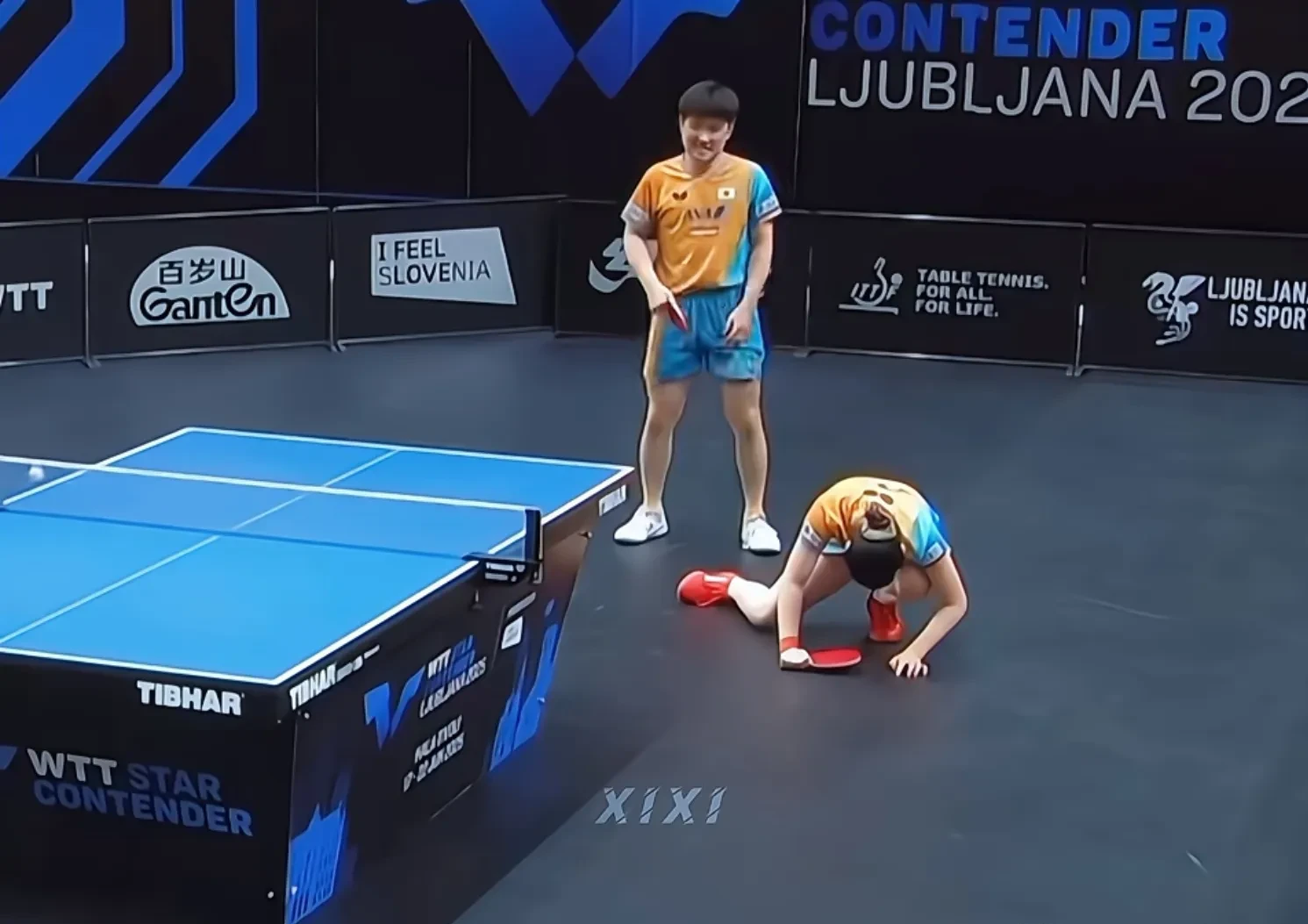 开云体育app-波兰队碾压中国队，张本智和状态火热  第1张