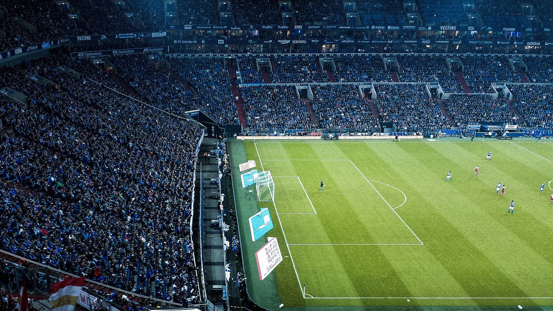 开云官网-武切维奇，当芝加哥的夜被北美大陆的欢呼点燃  第2张